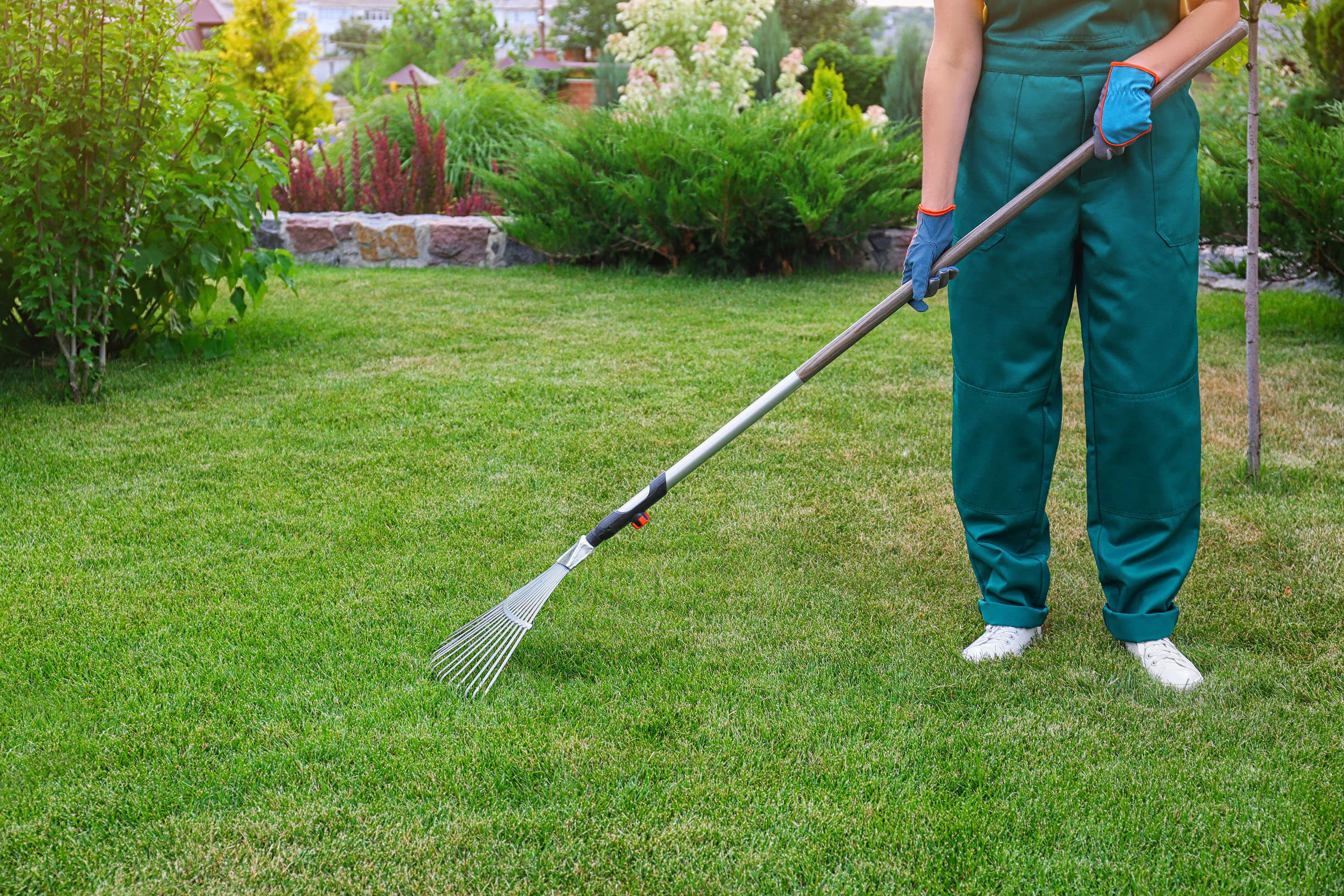 Beautiful lawn